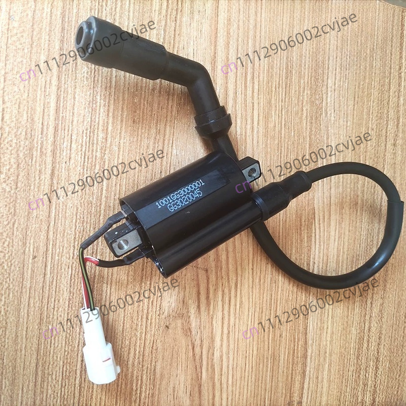 ZT310-V X T R1 2 Motorcycle Hi - огляд і ціна Motorcycle Spark Plug